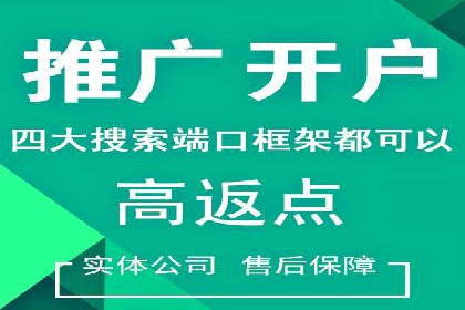 百度推广公司案例解析：如何利用百度推广实现快速转化